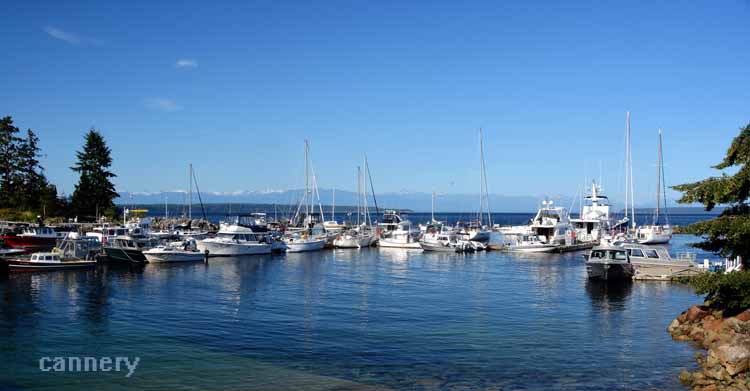 marina